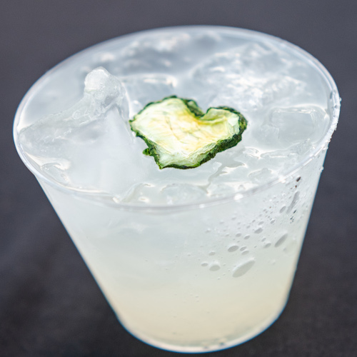 Spicy Gin Rickey